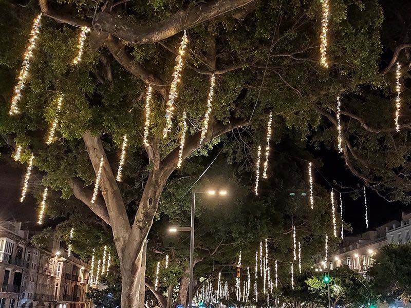 Lugares para ver las Luces de Navidad en Málaga